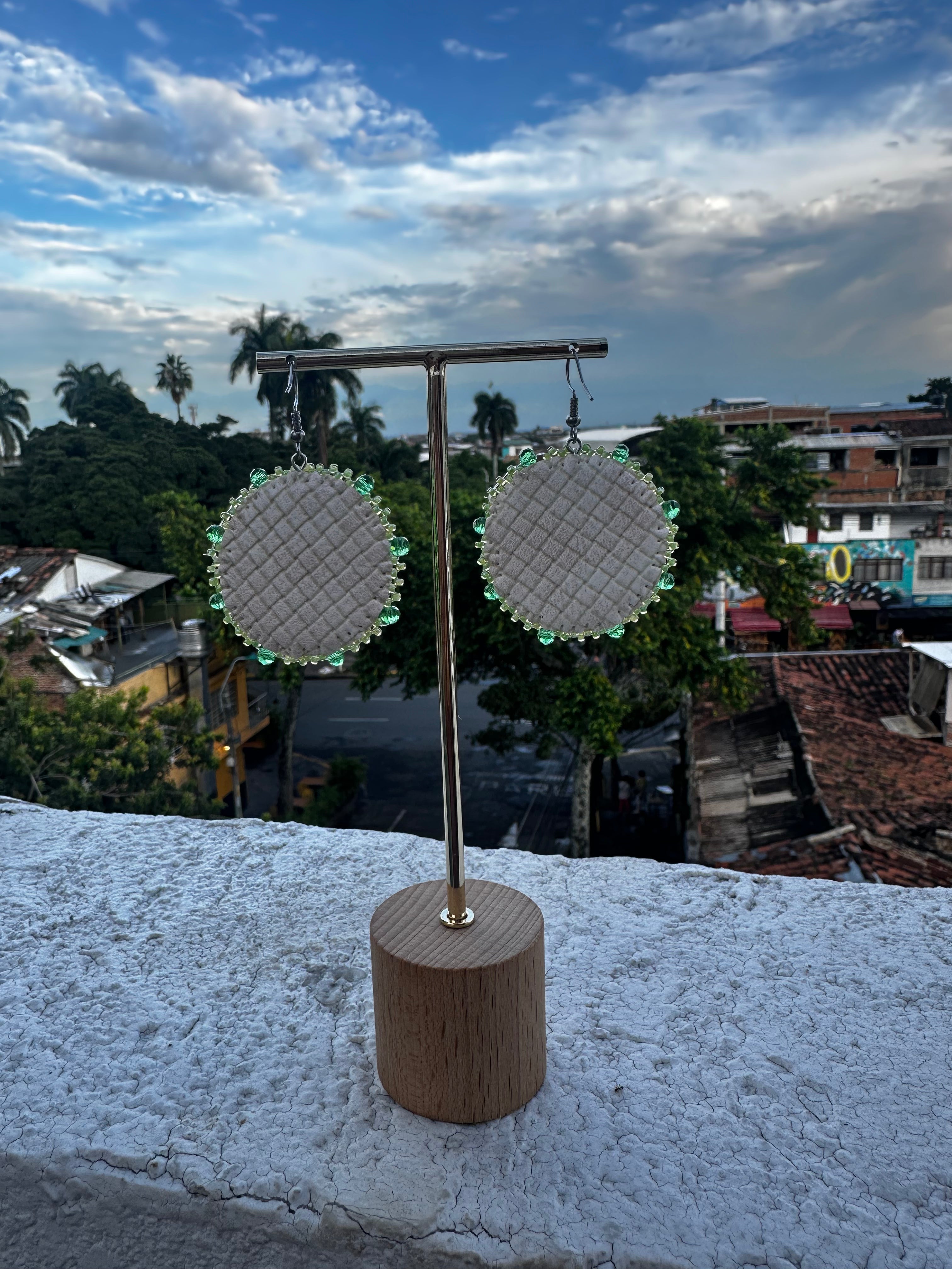 Sassy Kiwis ✻ Juicy Fruits Collection (MADE TO ORDER)